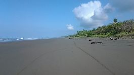 House on Matapalo beach, with 3,000 m2 of land for sale