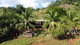 Farm with 71.7 ha, with a beautiful view of the sea in Vanegas Península de Osa