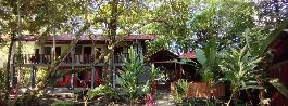 Hotel for sale, 50 m from the sea, surrounded by pure nature, in Tortuguero
