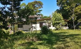 House with 20,000 m2, small creek near Cahuita for sale