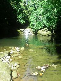 Wasserfall-Farm mit 20.5 ha  bei Carbon Ortsrand von Cahuita zu verkaufen