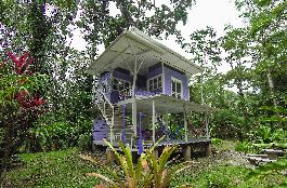 Jungle-Dream at one of the most desired Beaches, at Manzanillo