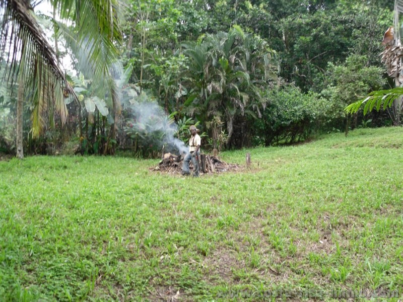 Building Plot for Sale in Cahuita Caribbean, Costa Rica Propertie