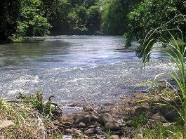 Propiedad frente al rÃ­o REDUCIDA A $ 250,000.- cerca de CaÃ±as