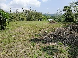 Top-Grundstück, 5,000 m2 mit grosser Plattform und schöner Sicht bei las Pilas de Parrita