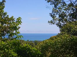 Jungle property for sale near Savegre