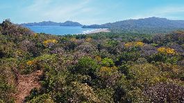 Solar para construir Puma con un tamaño de 5.312 m2 con una vista fantástica en la playa de ensueño de Playa Organos cerca de Paq