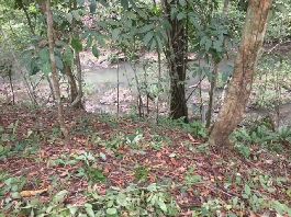 Top building plot of 12.477 m2 with brook near Las Delicias Montezuma