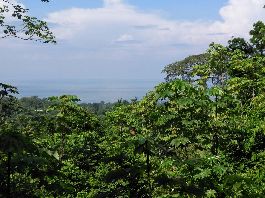 For sale, 7 ha farm with sea view at Uvita