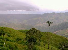 Farm with 143 ha near Filadelfia de Osa