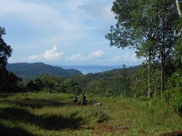 Primeval forest farm with 32 ha with giant trees, sea view at Golfo Dulce
