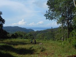 Urwald-Farm mit 32 ha mit RiesenbÃ¤umen, Meersicht bei Golfo Dulce