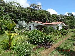 House in the green at Perez Zeledon for sale