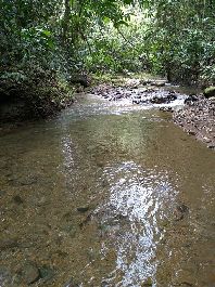 Propiedad de 9.493 m2 con arroyo, pasto, bosque y hermosa vista cerca de San Miguel Valle de los Cedros Golfito