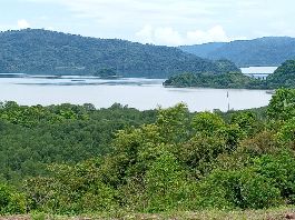 Se vende finca con 15 ha, vista de ensueño al mar cerca de Golfito