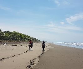 Farm mit 23 ha nahe dem Strand Esterrillos zu verkaufen