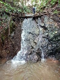 Finca de bosque virgen con 419 ha en venta cerca de Golfito