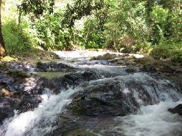 Finca de pastos y bosques de 96 hectÃ¡reas cerca de Sierpe de Osa