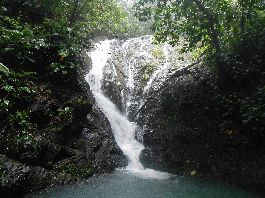 Finca con 31.5 ha, bosque, pastos, cascadas, arroyos, manantiales, cerca de Guaycara de Golfito