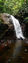 Finca de 18.4 ha, con vista al mar, bosque, pastos, cascadas, arroyos, manantiales, cerca de PenÃ­nsula de Osa