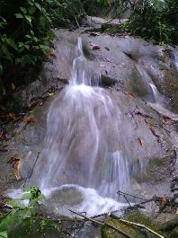 Finca de 15,7 ha, con pastos y bosque, cerca de San Miguel de los Cedros