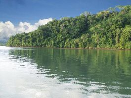 Robinson Cruso ist zurÃ¼ck. Strand XXL-GrundstÃ¼ck! in Golfo Dulce zu verkaufen 