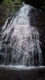 Waterfall farm, with 43 hectares near Los Mogos del Golfo Dulce