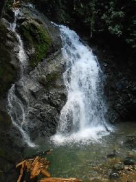 Finca en cascada, con 96 hectÃ¡reas con mucho bosque virgen cerca de Piedras Blancas de Osa cerca de Osa Golfo Dulce