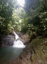 Se vende finca con 80,7 ha, cascadas, selva, 35 ha para cultivo cerca de Golfito