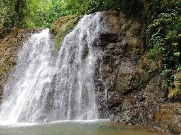 Finca de 34 ha en venta en Piedras Blancas-Golfito