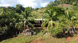 Finca de 71.7 ha, con hermosa vista al mar en Vanegas Península de Osa