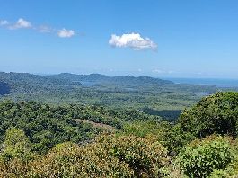 Farm von 79.5 ha ha bei Miramar de Sierpe zu verkaufen 