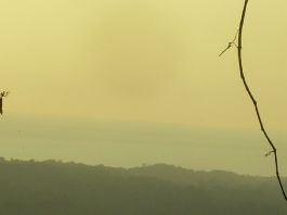 Zu verkaufen, 40 ha Finca mit Plateau und Meeresblick nahe Playa Coyote auf der Halbinsel Nicoya