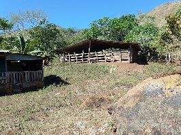 Zu verkaufen, 2,5 ha Öko-Finca in den Bergen in etwa 800m Höhenlage, bei El Balso