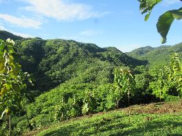 For sale 11 Building land near NambÃ­, Nicoya Peninsula