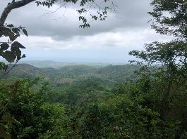 Se vende finca de 40,5 hectÃ¡reas con fantÃ¡sticas vistas al mar y a la montaÃ±a, cerca de Alemania-Santa Cruz