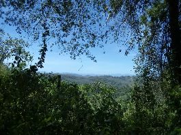 Finca natural de aproximadamente 80 ha con acceso a arroyo, manantiales de agua, bosque, plantación de teca de 4 ha, dif. Parcelas edificables 