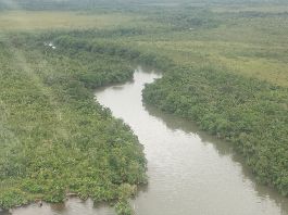 Ein Traum zu verkaufen, 4.464 ha grosses Stück Land in Nicaragua, nahe an der Karibikseite an der Laguna de Perlas - Bluefield