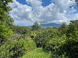 Finca von 5 ha in der NÃ¤he der UniversitÃ¤t de la Paz, Ciudad Colon zu verkaufen