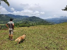 En venta, hermosa finca de 15 acres con negocio rentable de caballos y alquiler cerca de Tucurrique