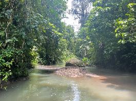 Urwald Farm von 40 ha WasserfÃ¤llen, Quellen, BÃ¤chen bei Cahuita-Carbon 2