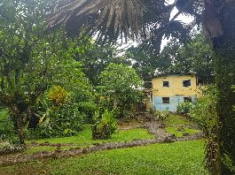 Finca emigrante de 33 ha con agua de la casa, rodeada de selva pura cerca de Mata Banano Cariari