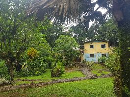 Auswanderer Farm mit 33 ha mit Haus eigenes Wasser, umgeben von reinem Urwald bei Mata Banano Cariari