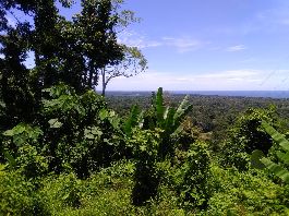 Finca con 70.025 m2 vista de ensueÃ±o al mar, selva y Ã¡reas para construir cerca de Cahuita