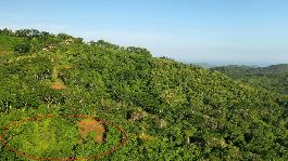 Parcela edificable de 5050m2 con amplias vistas de montaÃ±as con bosque y plantaciones cerca de Samara en un complejo residencial de finca. Rutas de se