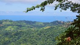 Building plot 5150m2 with fantastic views of the Pacific Ocean and mountains near Samara in a finca residential complex with river, hiking trails, wat